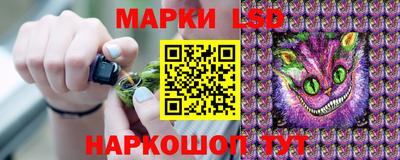ALPHA PVP Кизляр